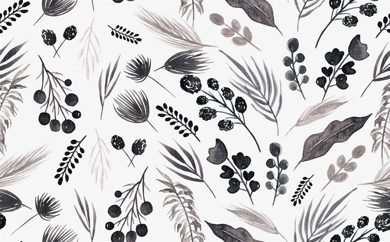 Last Product image